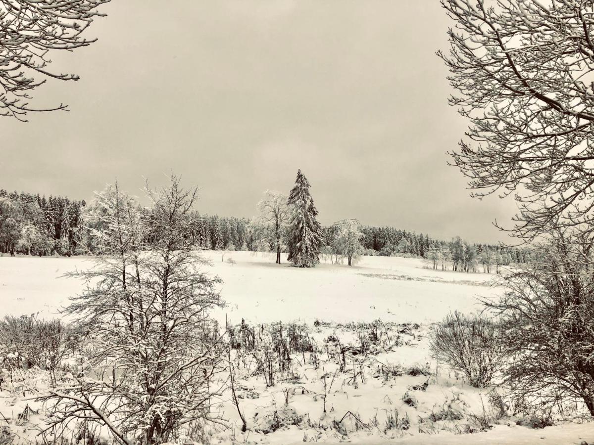 App 622 Panoramic Hohegeiss Mit Wlan Terrassenhaus Daire Braunlage Dış mekan fotoğraf