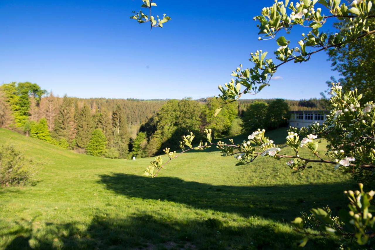 App 622 Panoramic Hohegeiss Mit Wlan Terrassenhaus Daire Braunlage Dış mekan fotoğraf