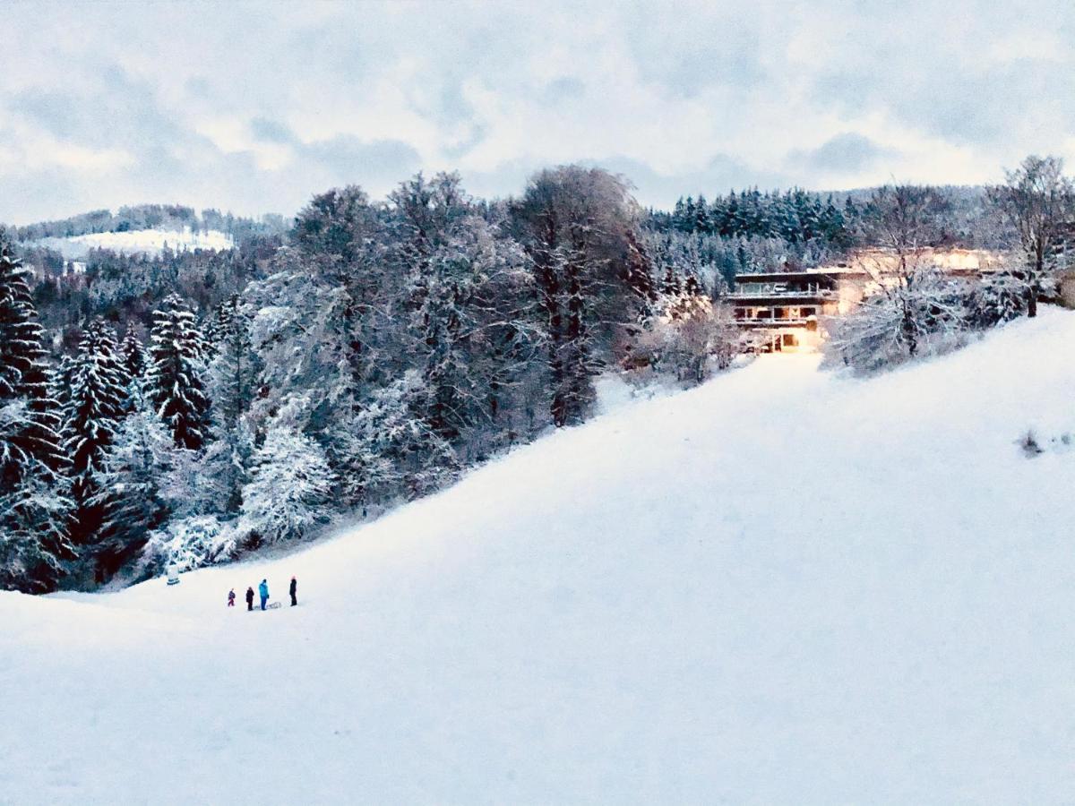 App 622 Panoramic Hohegeiss Mit Wlan Terrassenhaus Daire Braunlage Dış mekan fotoğraf